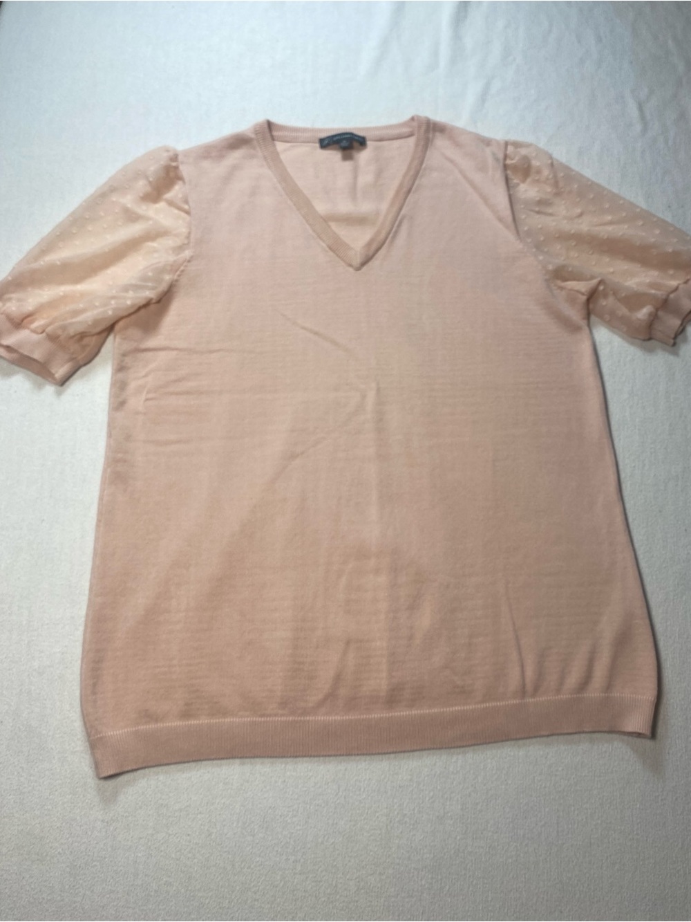 Adrianna Papell Blush Pink V-Neck Knit Sheer Dotted Sleeve Top